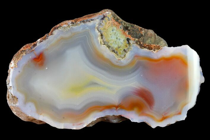 Colorful, Polished Condor Agate Section - Argentina #145521